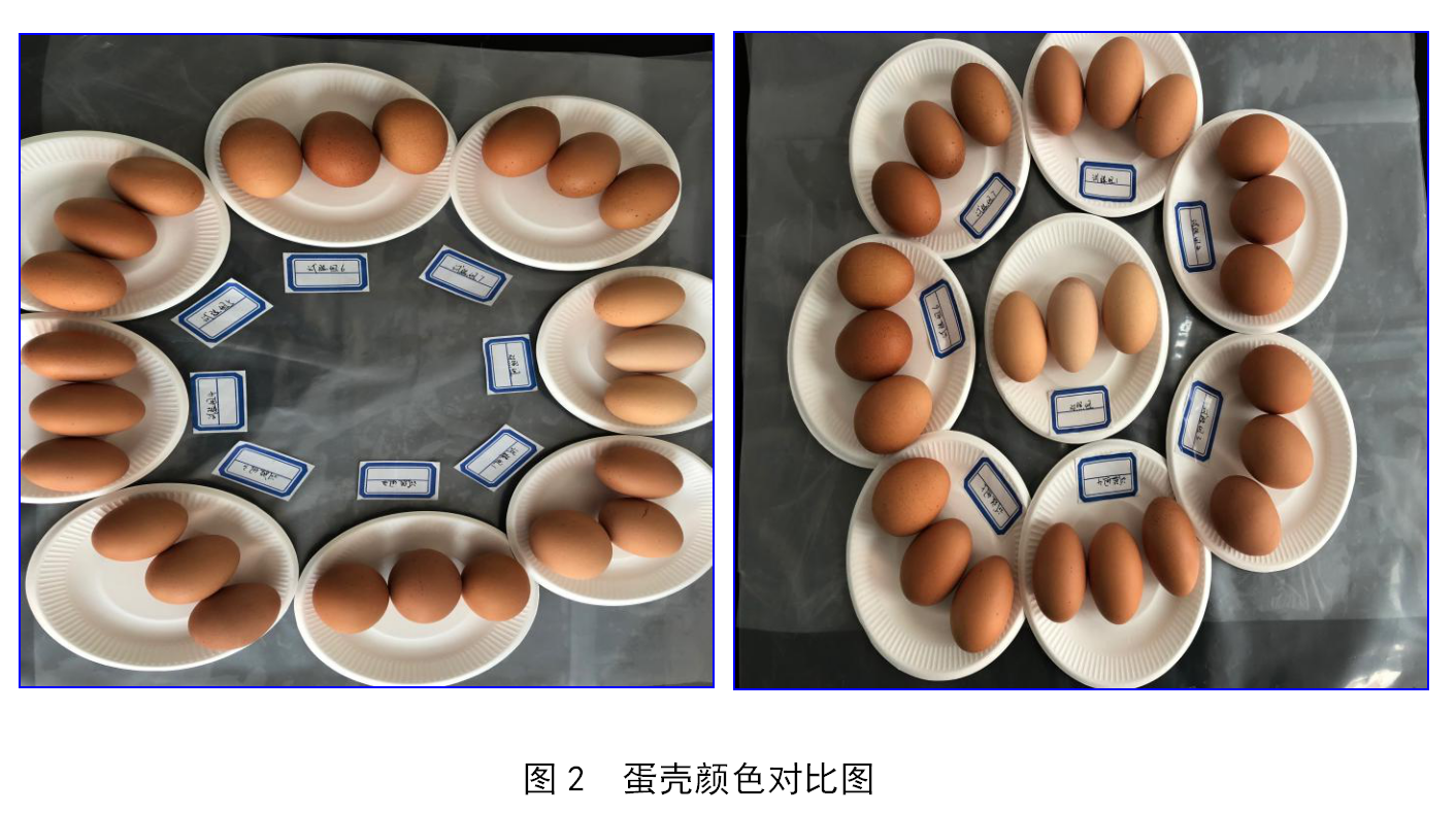 888集团(中国)有限公司官网 -welcome