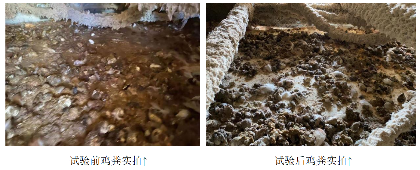 888集团(中国)有限公司官网 -welcome